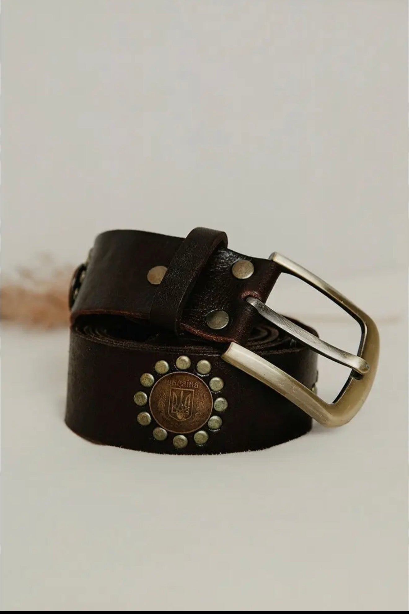 Coin Leather Belt