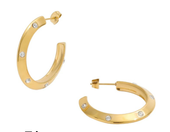 Zircon Earrings